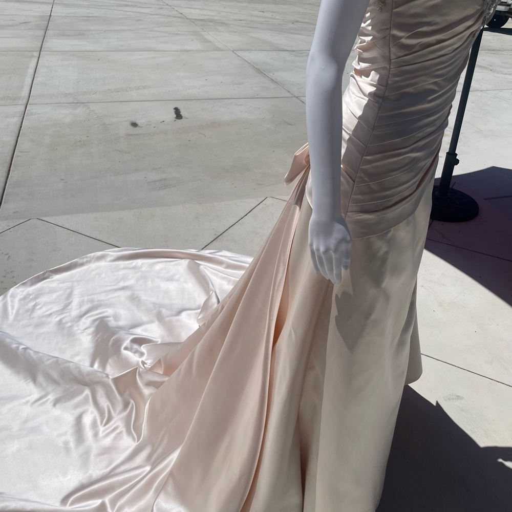 Couture Collection elegant Blush wedding dress - Picture 6 of 15